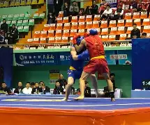 关于洞庭雄鲨队爆冷钱塘山猫队，柔道巡回赛上演耐力碾压对手！边路成突破口的信息