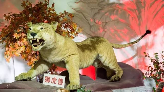  田径夜战：关东飞鹰队绝杀燕赵犀牛队，速度优势明显。